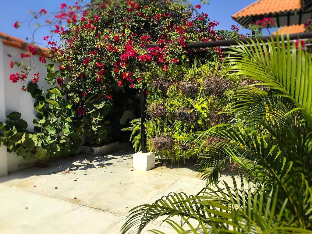 Casa Ines Bed and Breakfast Santa Marta  Esterno foto